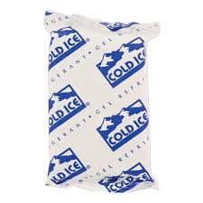 ICE PACK - For Shipping